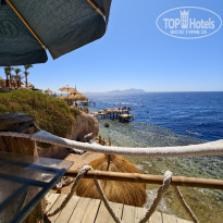 фото из отзыва ID 2706793