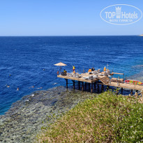 фото из отзыва ID 2706793