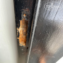 фото из отзыва ID 2706748