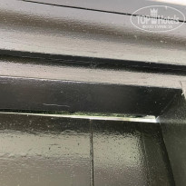 фото из отзыва ID 2706748