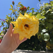 фото из отзыва ID 2706840