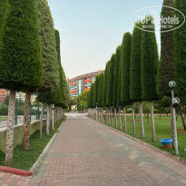 фото из отзыва ID 2706851