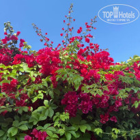 фото из отзыва ID 2706851