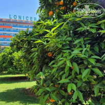 фото из отзыва ID 2706851