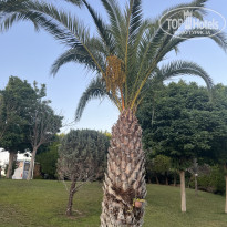 фото из отзыва ID 2706903