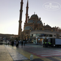 фото из отзыва ID 2706913