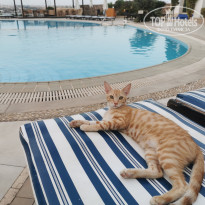 фото из отзыва ID 2706913