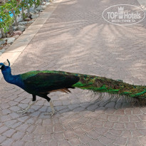 фото из отзыва ID 2706917