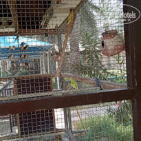 фото из отзыва ID 2706917