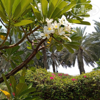 фото из отзыва ID 2706917