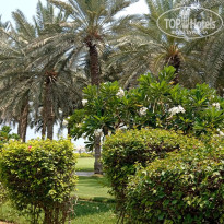 фото из отзыва ID 2706917