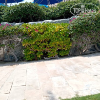 фото из отзыва ID 2706917