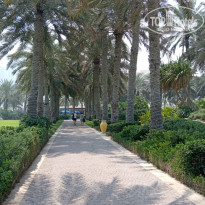 фото из отзыва ID 2706917