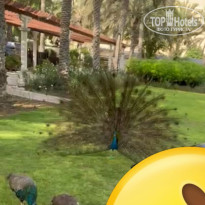 фото из отзыва ID 2706917