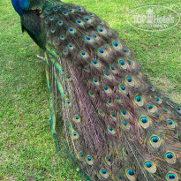 фото из отзыва ID 2706917