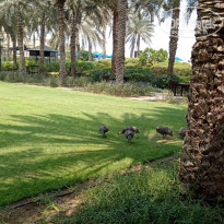 фото из отзыва ID 2706917