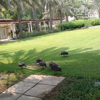 фото из отзыва ID 2706917