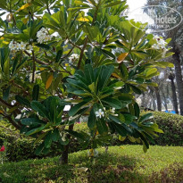 фото из отзыва ID 2706917