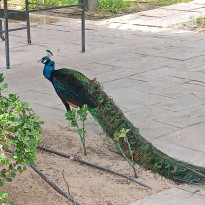 фото из отзыва ID 2706917