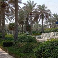 фото из отзыва ID 2706917