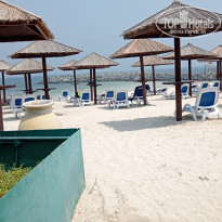 фото из отзыва ID 2706917