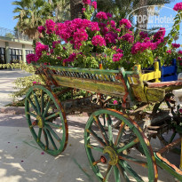 фото из отзыва ID 2706897