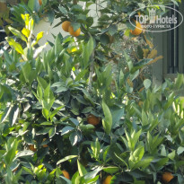 фото из отзыва ID 2706926