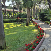 фото из отзыва ID 2706926