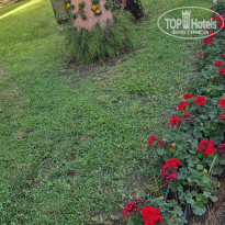 фото из отзыва ID 2706926