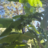 фото из отзыва ID 2706926