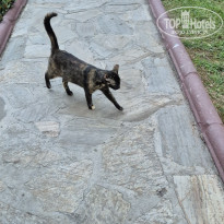 фото из отзыва ID 2706926