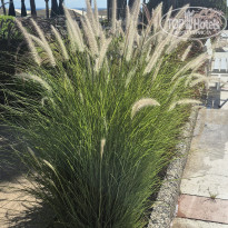 фото из отзыва ID 2706926