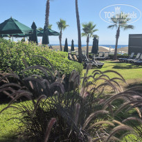 фото из отзыва ID 2706926