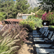 фото из отзыва ID 2706926