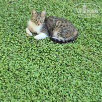 фото из отзыва ID 2706926