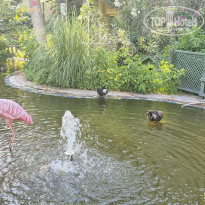 фото из отзыва ID 2706926