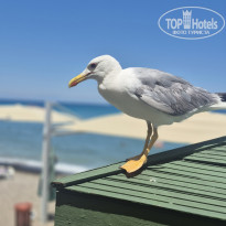 фото из отзыва ID 2706926