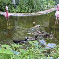 фото из отзыва ID 2706926