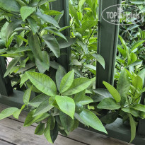 фото из отзыва ID 2706926