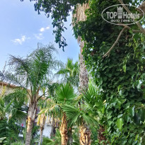 фото из отзыва ID 2706941