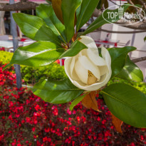 фото из отзыва ID 2703214