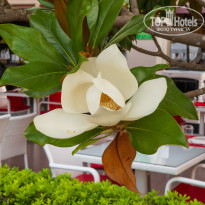 фото из отзыва ID 2703214