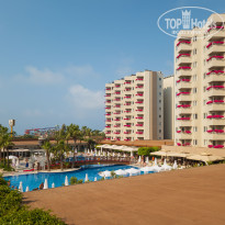 фото из отзыва ID 2703214