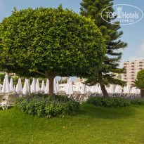 фото из отзыва ID 2703214