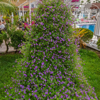 фото из отзыва ID 2703214