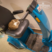 фото из отзыва ID 2703214