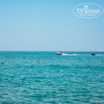 фото из отзыва ID 2703214