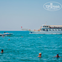 фото из отзыва ID 2703214