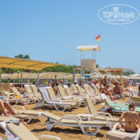 фото из отзыва ID 2703214