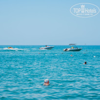 фото из отзыва ID 2703214